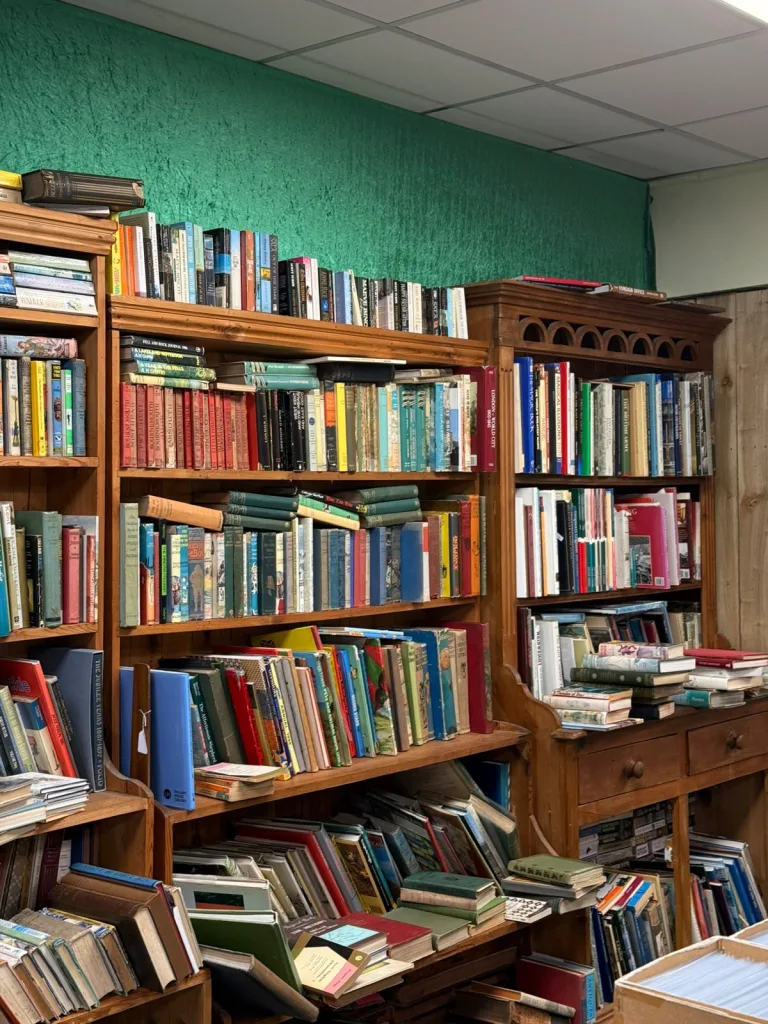 Shelves of second-hand books and old Lakeland guides at Antiques on High