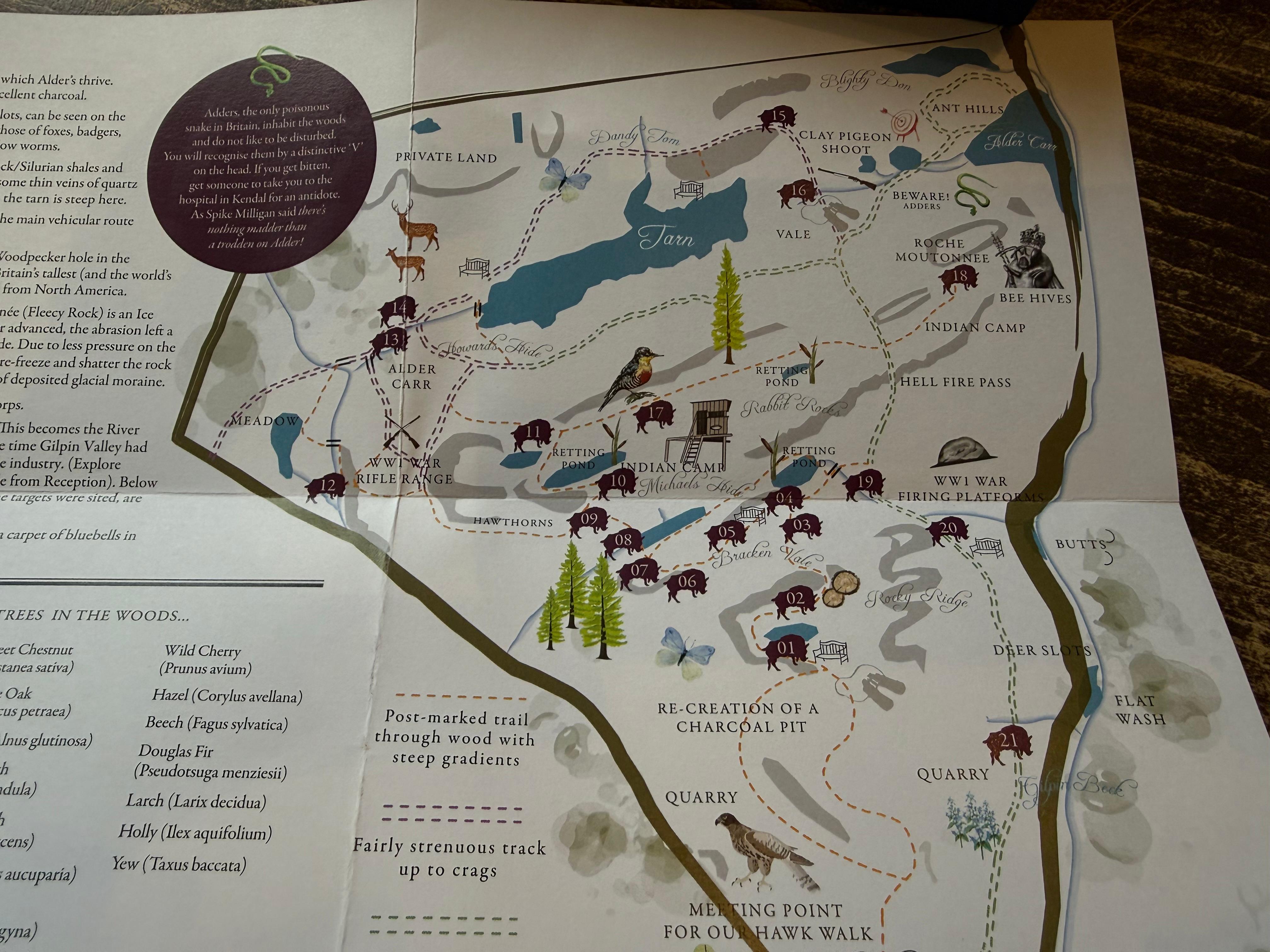 map of wild boar inn woods