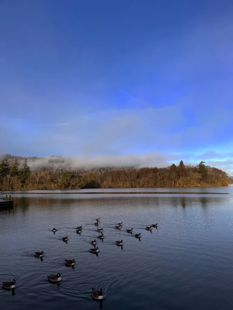 bowness on windermere lake windermere