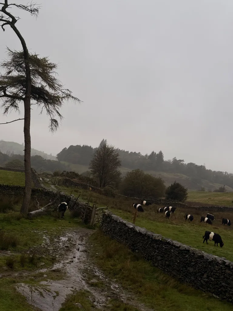 school knott windermere